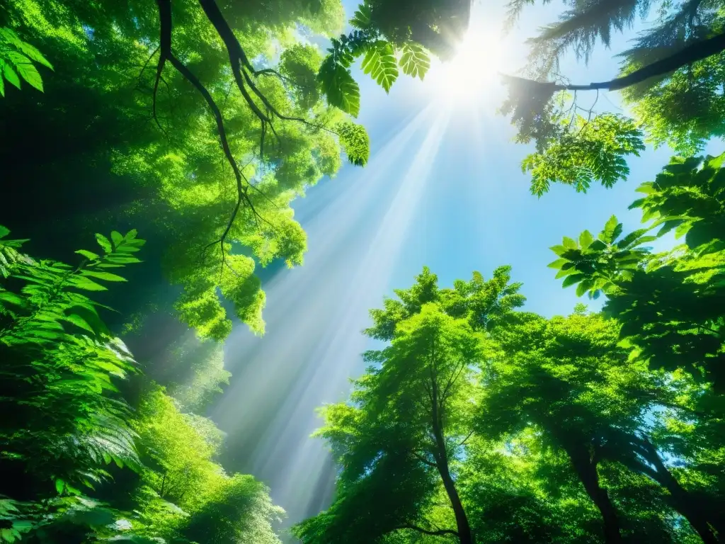 Bosque exuberante: luz y vitalidad natural Imagen de un exuberante bosque con luz solar filtrándose entre las hojas